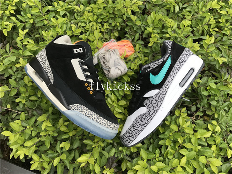 Air Jordan 3 X Air Max 1 Atmos Pack